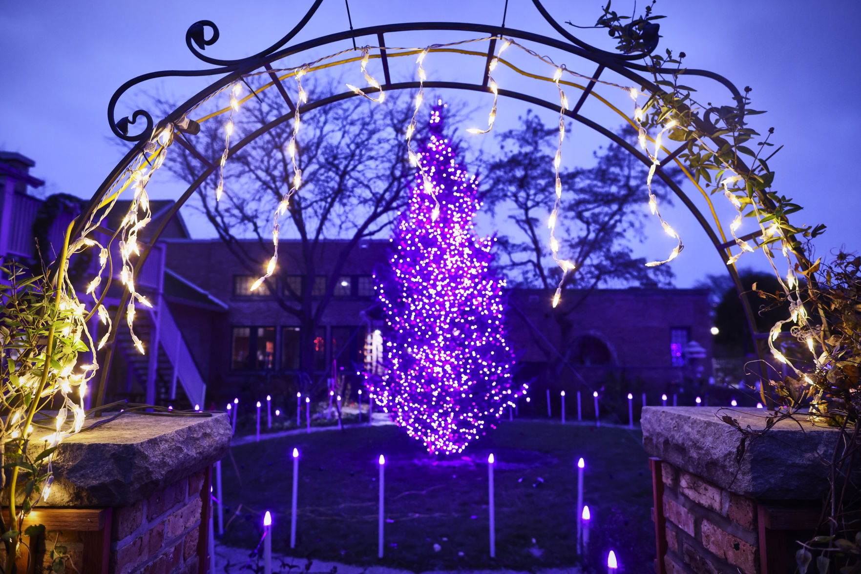 JVG_211121_LIGHTS02
